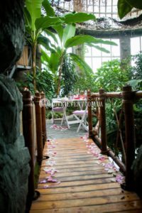 Фото Оранжерея для свиданий и предложений