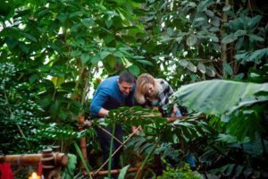 Фото гости на свидании в оранжерее