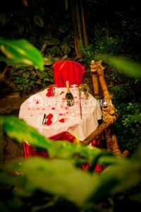 Фотография свидание в оранжерее Эдем