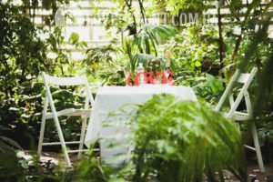 Фото Свидание в оранжерее Тропики