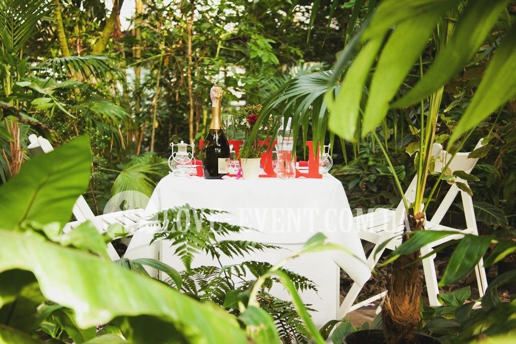 Фото Свидание в оранжерее Тропики