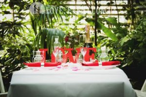 Фото Свидание в оранжерее Тропики