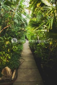 Фото Тропической оранжереи для свиданий и предложений