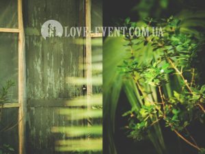 Фото Тропической оранжереи для свиданий и предложений