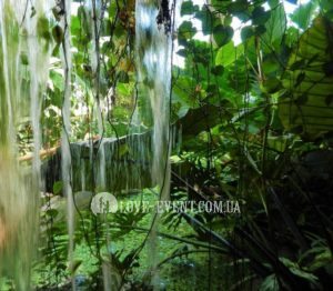 Фото Оранжерея для свиданий и предложений