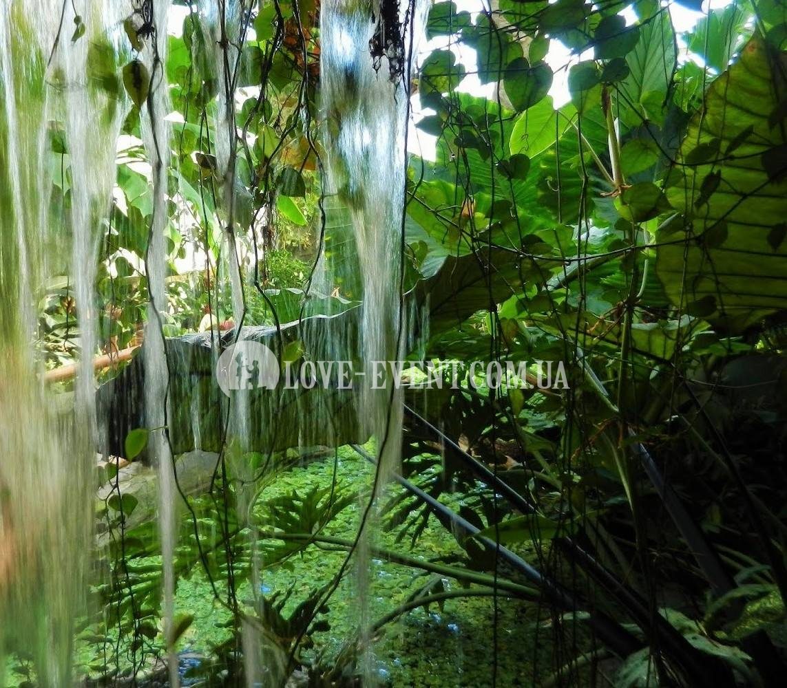 Фото Оранжерея для свиданий и предложений