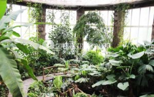 Фото Оранжерея для свиданий и предложений