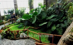 Фото Оранжерея для свиданий и предложений