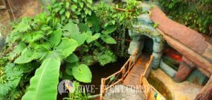 Фото Оранжерея для свиданий и предложений