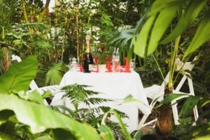 Фотография свидание в оранжерее Тропики