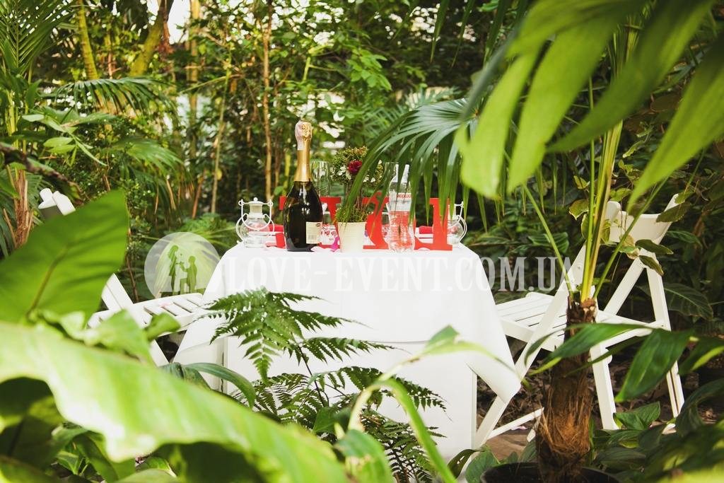 Фотография свидание в оранжерее Тропики