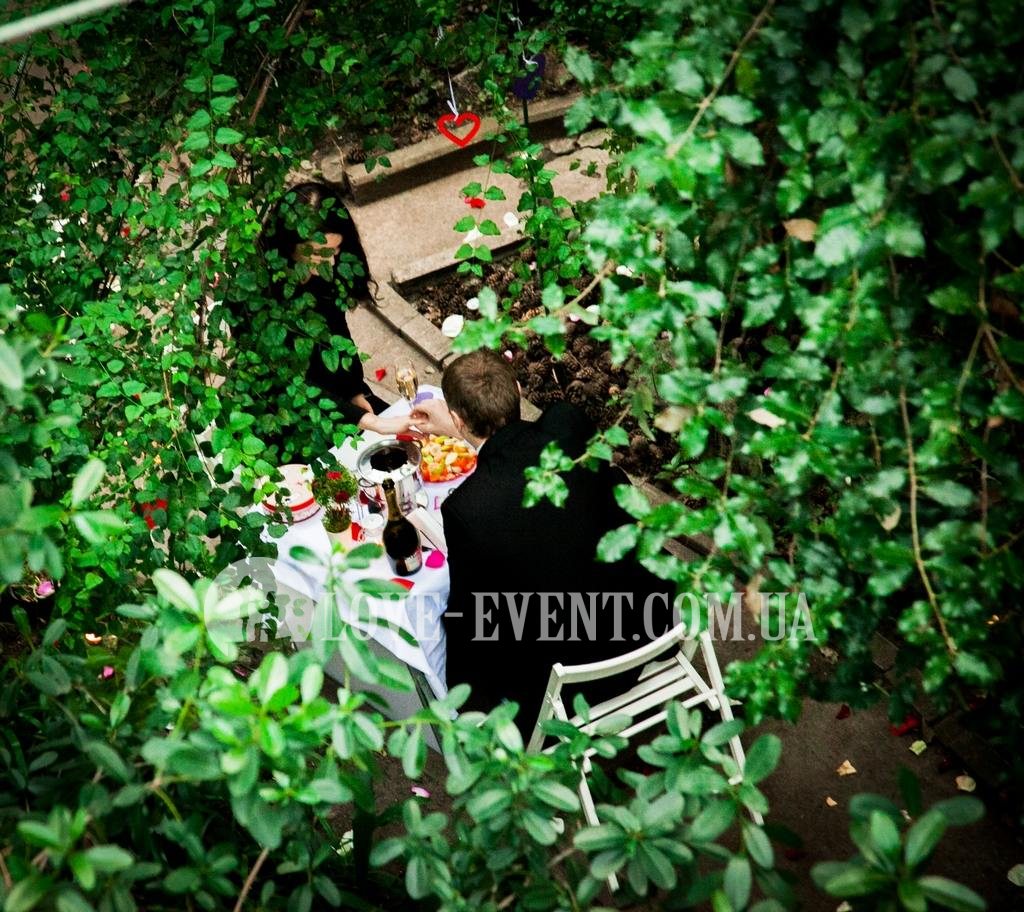 Фотография Предложение в оранжерее Тропики