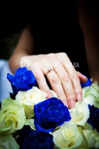 Фотография Предложение в оранжерее Тропики