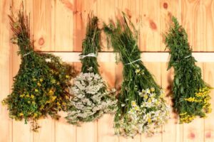 Ароматные травы